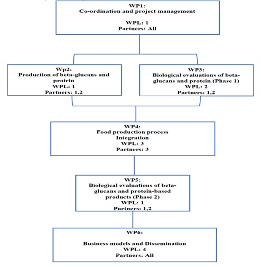Work Packages Diagram